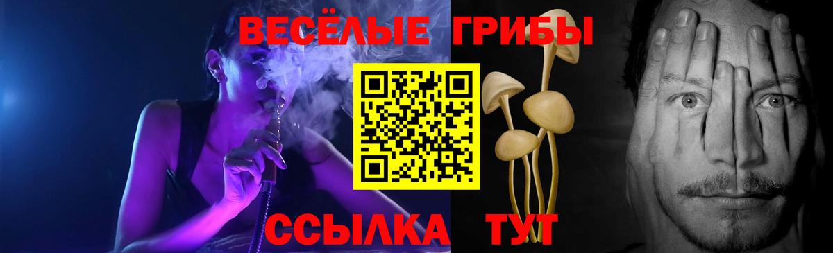 Галлюциногенные грибы ЛСД Торжок